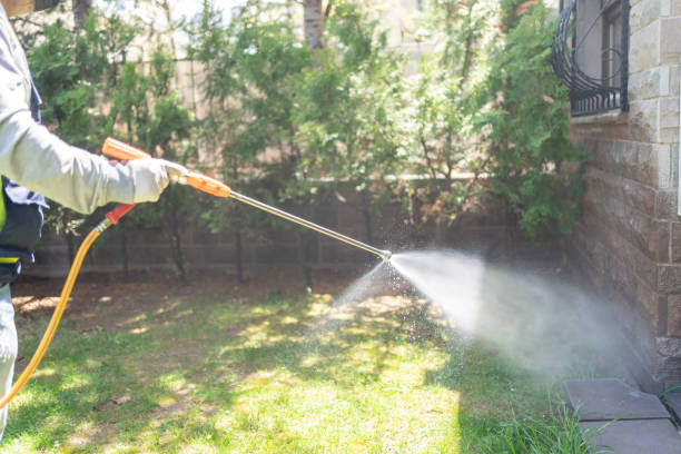 Best Pest Prevention Services  in Crowley, TX