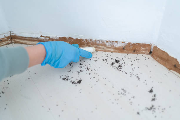 Best Bed Bug Extermination  in Crowley, TX